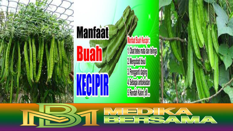 Manfaat Kecipir