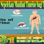 Jangan Sepelekan Manfaat Taurine bagi Tubuh