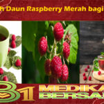 Manfaat Teh Daun Raspberry Merah bagi Kesehatan