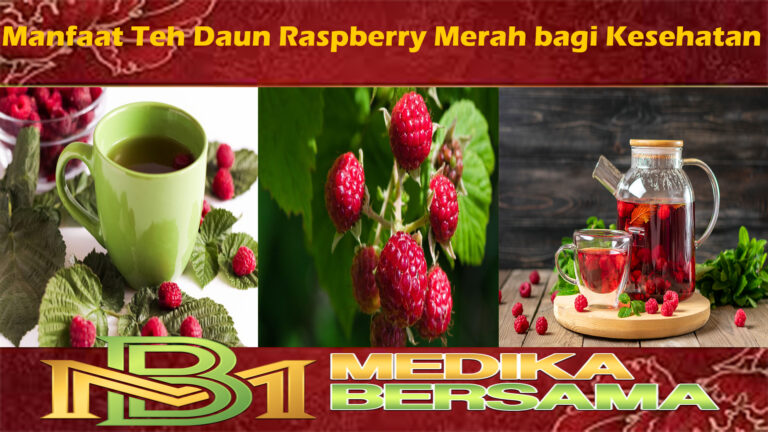 Manfaat Teh Daun Raspberry Merah bagi Kesehatan