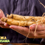 Manfaat Ginseng untuk Kesehatan Tubuh